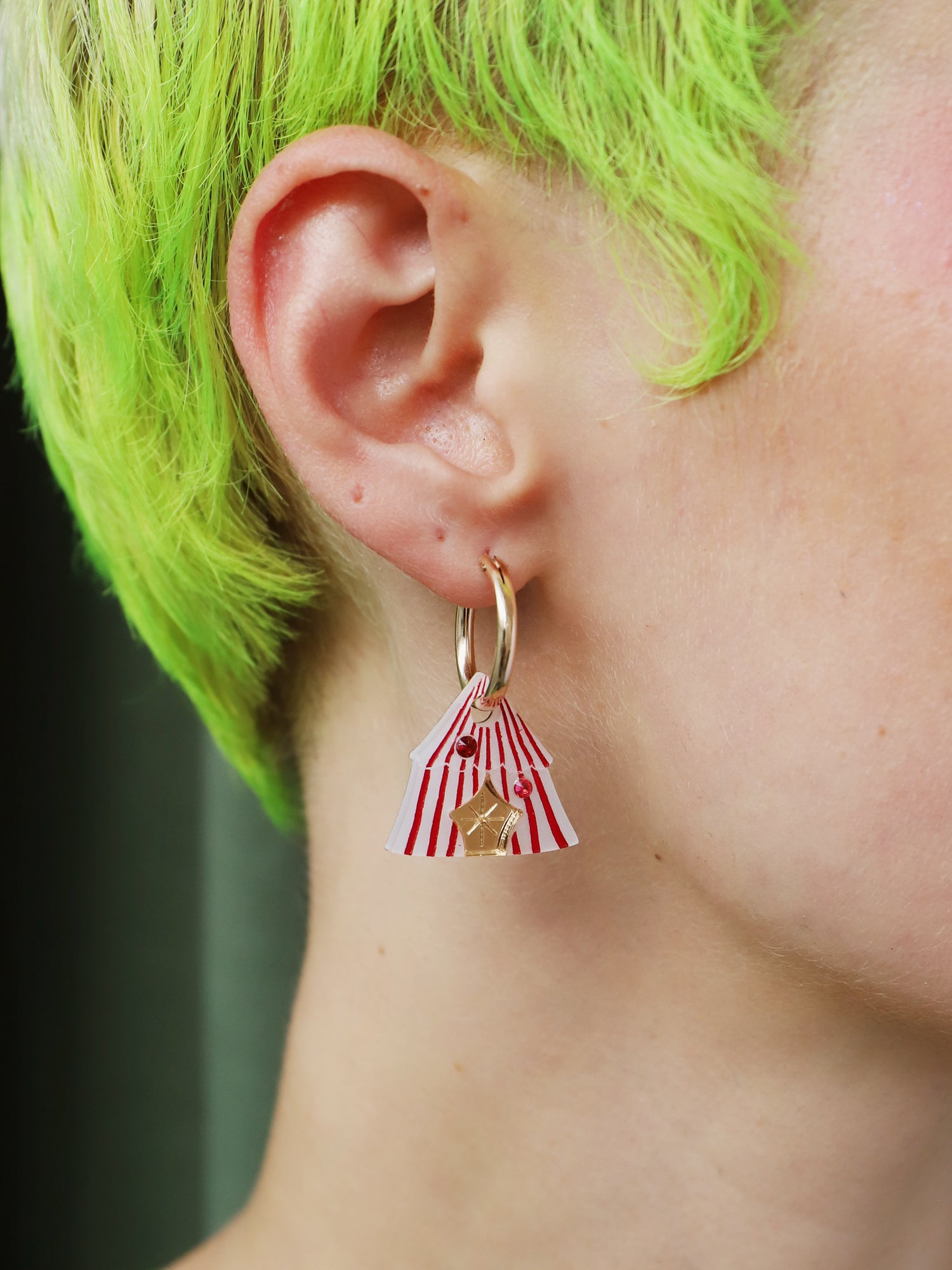 Day At The Fair Hoops Set