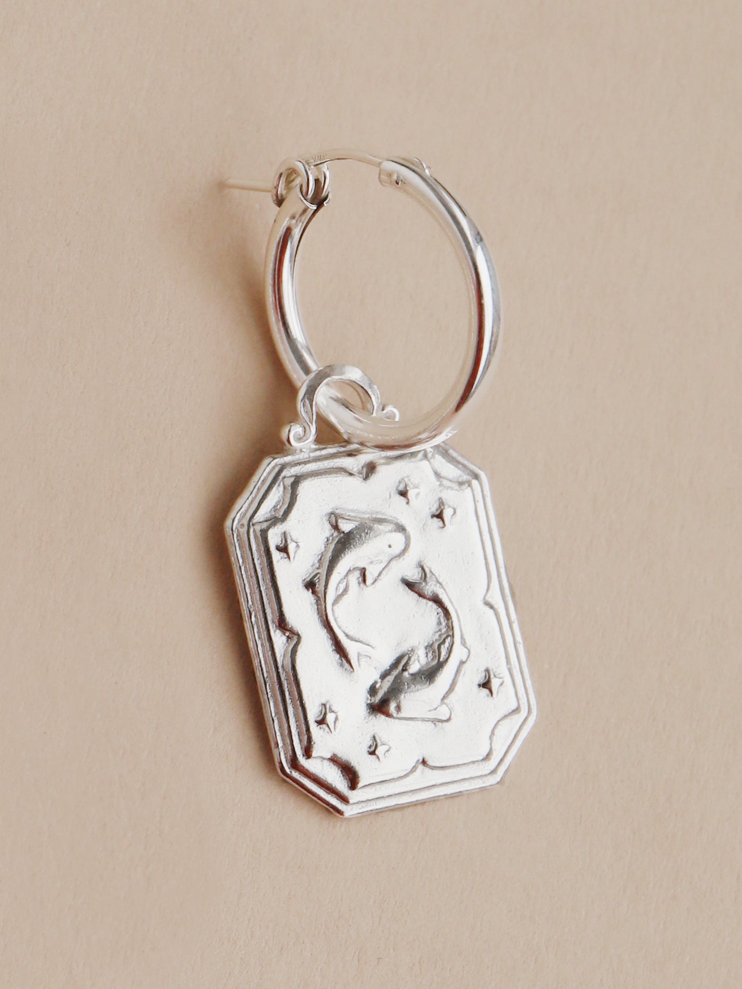 Pisces - Individual Charm in Silver